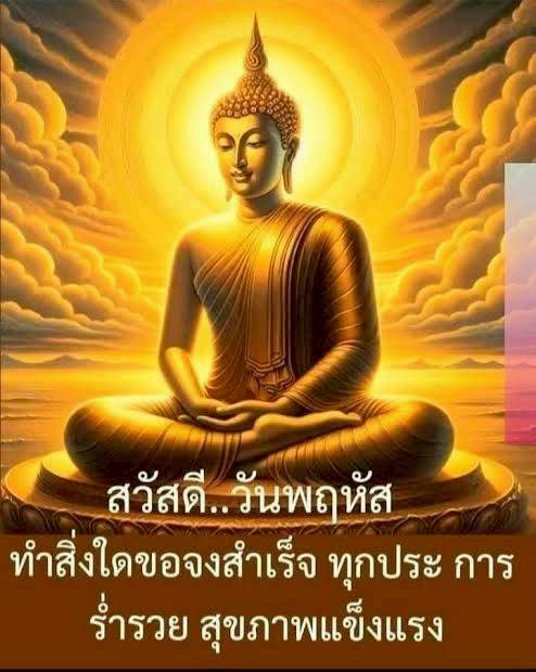 การ์ด No.15068:ภาพสวัสดียามเช้า