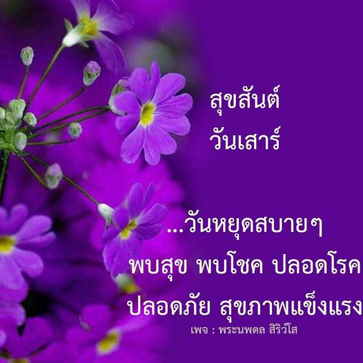 การ์ด No.11185:ภาพสวัสดียามเช้า
