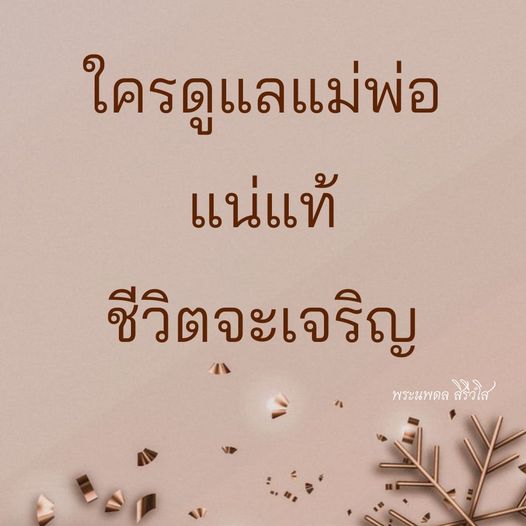 การ์ด No.8763:พระนพดล สิริวํโส