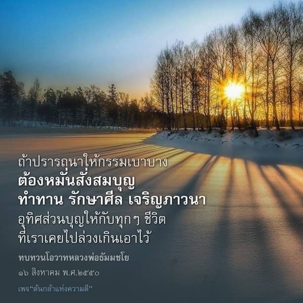 คำคมเจริญภาวนา ต้นกล้าแห่งความดี