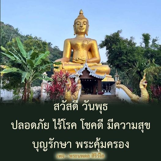 การ์ด No.11386:ภาพสวัสดียามเช้า
