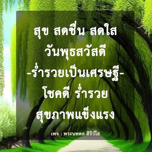 การ์ด No.9589:ภาพสวัสดียามเช้า