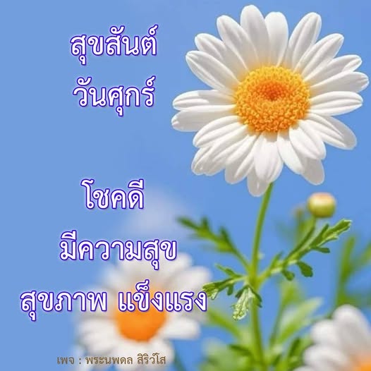 การ์ด No.12772:ภาพสวัสดียามเช้า