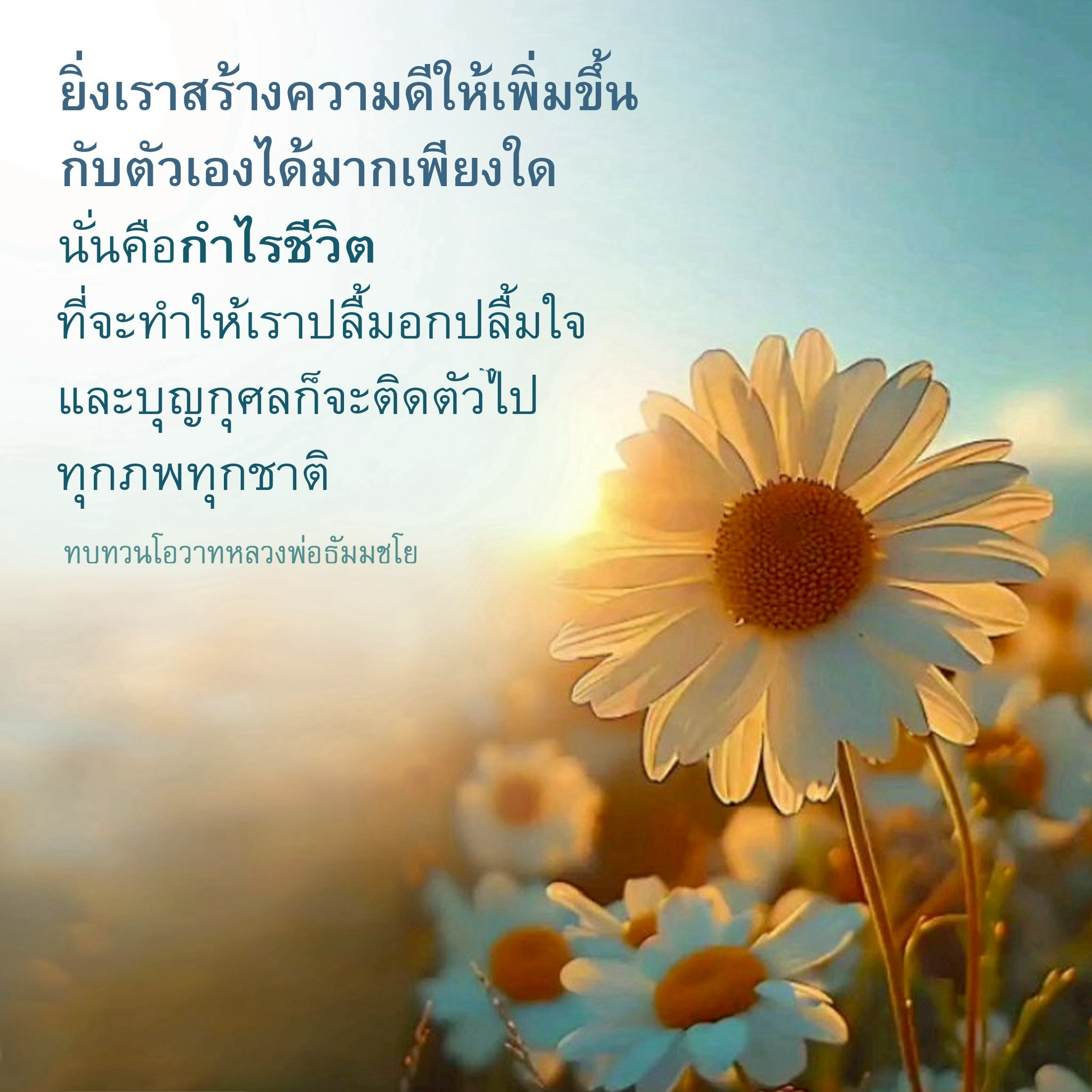 สร้างความดีเพื่อกำไรชีวิต: ทบทวนโอวาทหลวงพ่อธัมมชโย