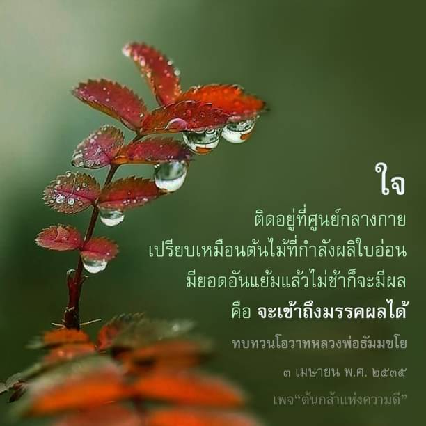 ความหมายของใจและการทบทวนโอวาทหลวงพ่อธัมมชโย