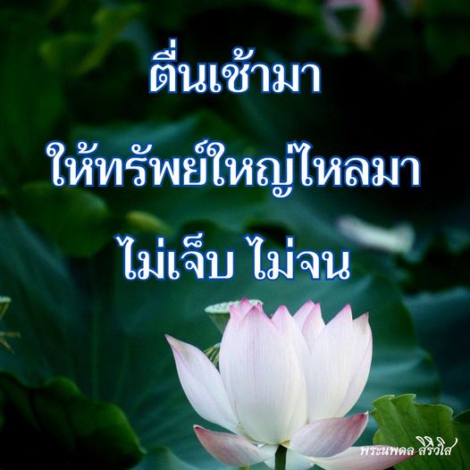 การ์ด No.9673:ภาพสวัสดียามเช้า