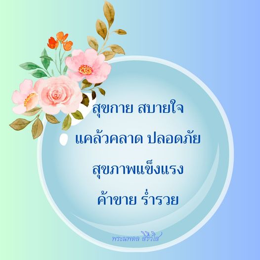 การ์ด No.9750:พระนพดล สิริวํโส