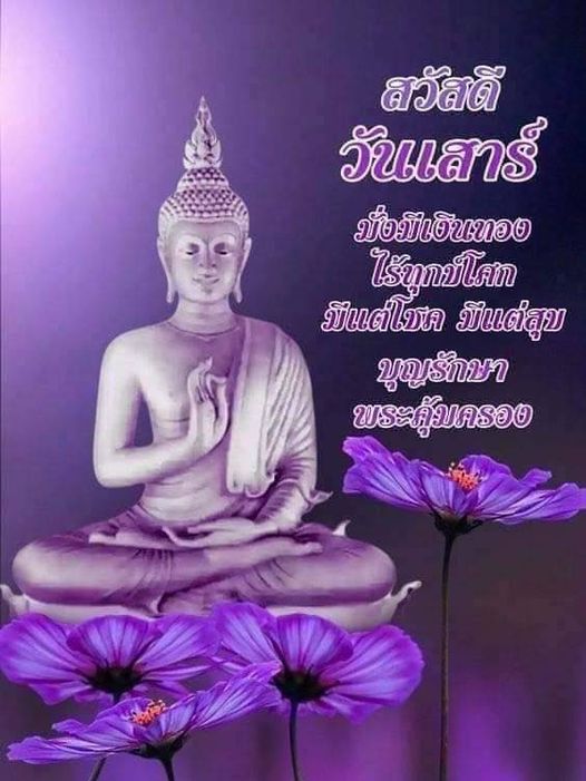 การ์ด No.9937:ภาพสวัสดียามเช้า