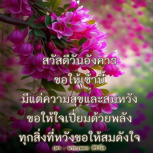 เช้าวันอังคารที่เต็มไปด้วยความสุขและพลัง ขอให้ทุกคนมีวันที่ดี สมหวังในทุกสิ่งที่หวัง และให้ใจเปี่ยมด้วยพลังบวกจากเพจ พระนพดล สิริวโส