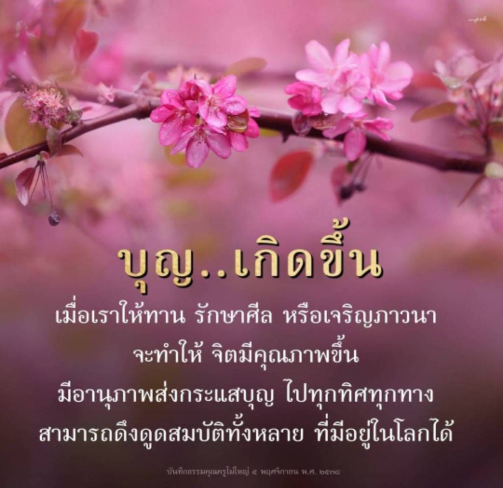 สำรวจความหมายของบุญที่เกิดจากการให้ทาน รักษาศีล และเจริญภาวนา เพื่อพัฒนาจิตให้มีคุณภาพและดึงดูดสมบัติในโลก พร้อมบันทึกธรรมจากครูไม่ใหญ่ วันที่ ๕ พฤศจิกายน พ.ศ. ๒๕๓๘
