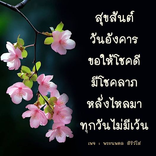 การ์ด No.9975:ภาพสวัสดียามเช้า