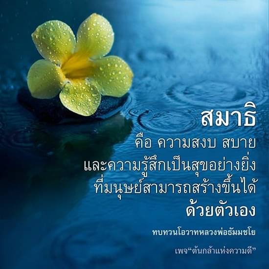 สมาธิ: ความสงบสบายและความสุขที่มนุษย์สร้างขึ้นด้วยตัวเอง