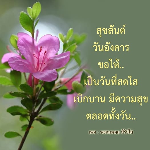 การ์ด No.11702:ภาพสวัสดียามเช้า