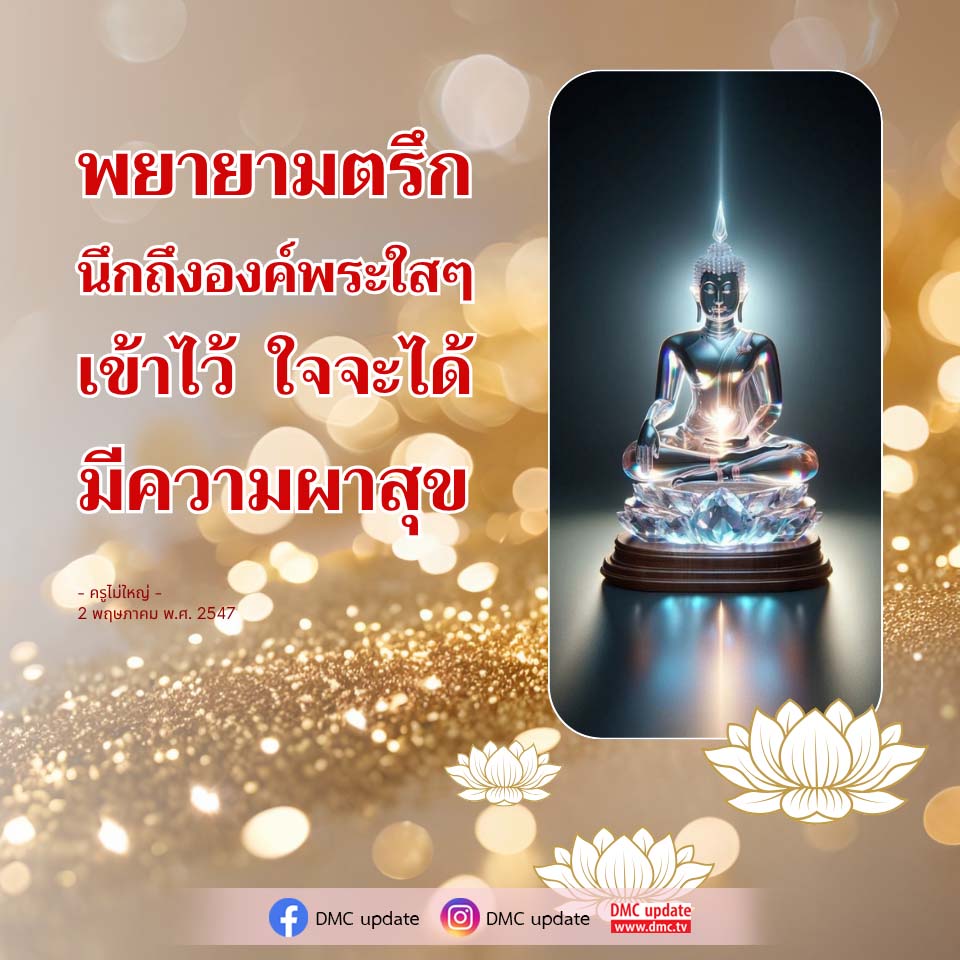 ภาพ No.16539:ทั่วไป