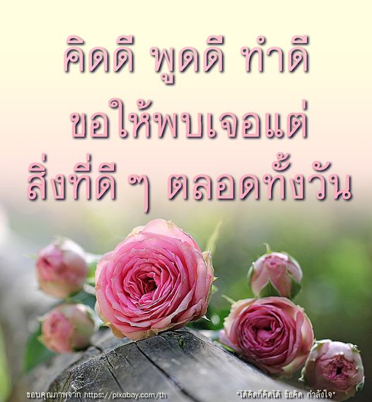 ค้นพบแนวทางการใช้ชีวิตอย่างมีความสุขด้วยการคิดดี พูดดี และทำดี พร้อมข้อคิดและกำลังใจที่จะช่วยให้คุณพบเจอแต่สิ่งดี ๆ ตลอดทั้งวัน