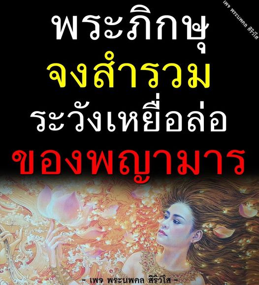 การ์ด No.11365:พระนพดล สิริวํโส