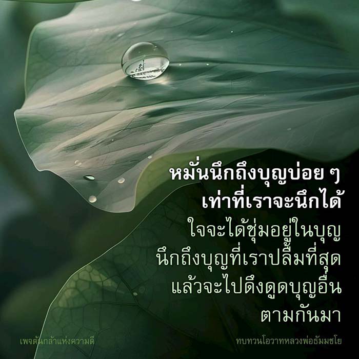 เพจต้นกล้าแห่งความดี นำเสนอแนวทางการนึกถึงบุญเพื่อสร้างชีวิตที่ดีขึ้น โดยการทบทวนโอวาทจากหลวงพ่อธัมมชโย เพื่อให้ใจชุ่มชื่นและดึงดูดบุญที่ดีเข้ามาในชีวิต