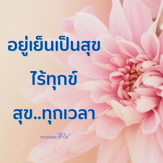 การ์ด No.9652:ภาพสวัสดียามเช้า