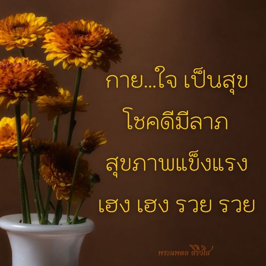 การ์ด No.9724:พระนพดล สิริวํโส