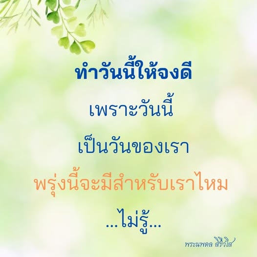 การ์ด No.11943:พระนพดล สิริวํโส