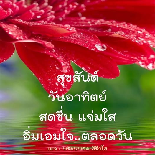 การ์ด No.11989:ภาพสวัสดียามเช้า