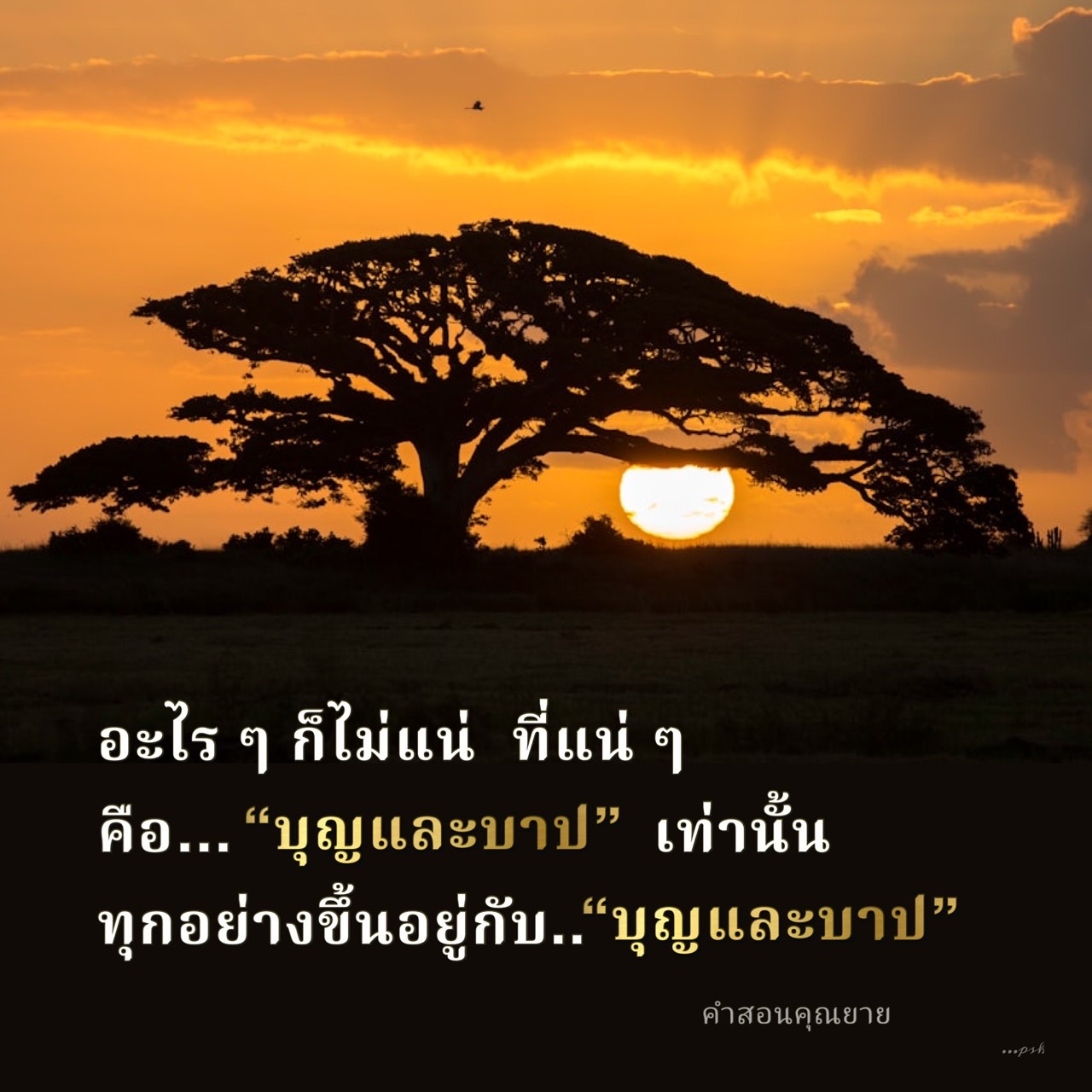 ค้นพบความหมายและความสำคัญของบุญและบาปในชีวิตประจำวันผ่านคำสอนของคุณยาย เรียนรู้วิธีการใช้ชีวิตอย่างมีคุณค่าและเข้าใจถึงผลกระทบของการกระทำที่มีต่อจิตวิญญาณและความเชื่อของเรา