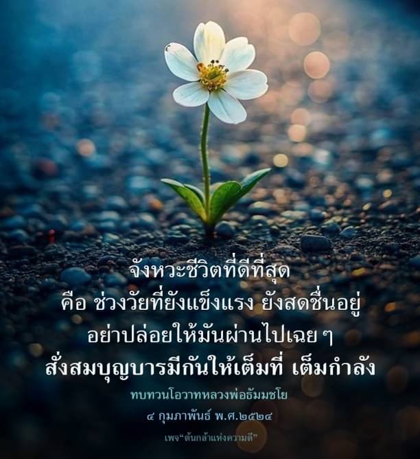 ค้นพบจังหวะชีวิตที่ดีที่สุดในช่วงวัยที่ยังแข็งแรงและสดชื่น พร้อมกับการสั่งสมบุญบารมีให้เต็มที่ผ่านการทบทวนโอวาทจากหลวงพ่อธัมมชโย เพื่อสร้างชีวิตที่มีคุณค่าและความสุข.