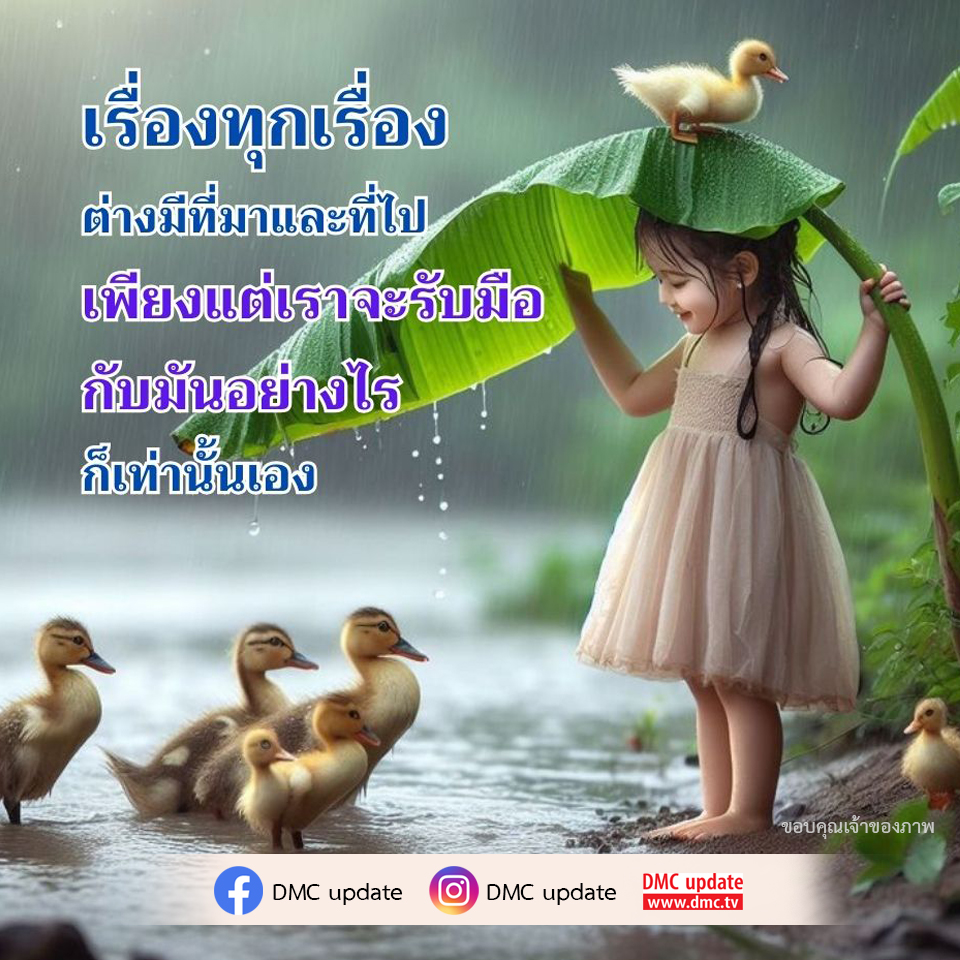 DMC Update นำเสนอแนวทางการรับมือกับทุกเรื่องราวในชีวิต พร้อมข้อมูลและข่าวสารล่าสุดจาก DMC เพื่อให้คุณสามารถจัดการกับสถานการณ์ต่าง ๆ ได้อย่างมีประสิทธิภาพ