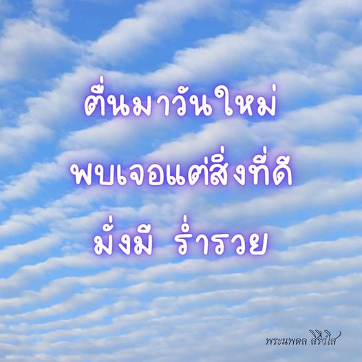 การ์ด No.8821:พระนพดล สิริวํโส