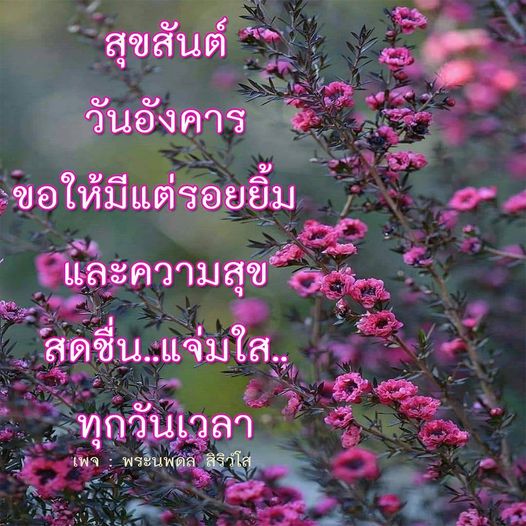  อีการ์ดภาพสวัสดียามเช้าส่งมอบเพื่อเป็นการทักทายให้กำลังใจเพื่อมิตรภาพในเช้าวันใหม่ของทุกๆ วัน