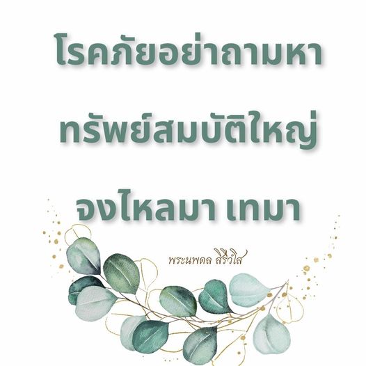 การ์ด No.11573:พระนพดล สิริวํโส