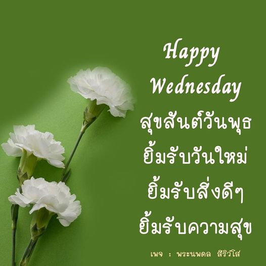 การ์ด No.9586:ภาพสวัสดียามเช้า