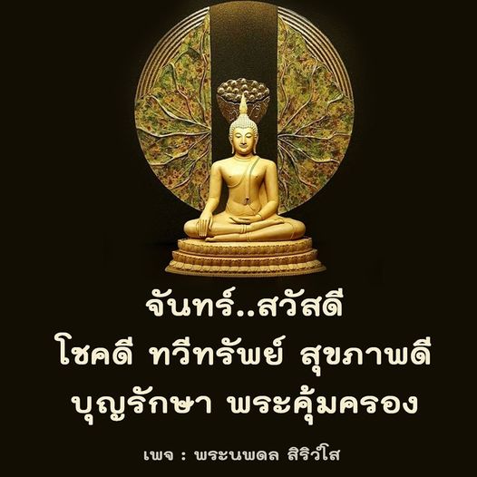การ์ด No.8881:ภาพสวัสดียามเช้า
