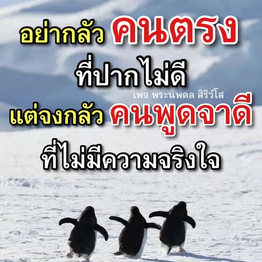 การ์ด No.14600:พระนพดล สิริวํโส