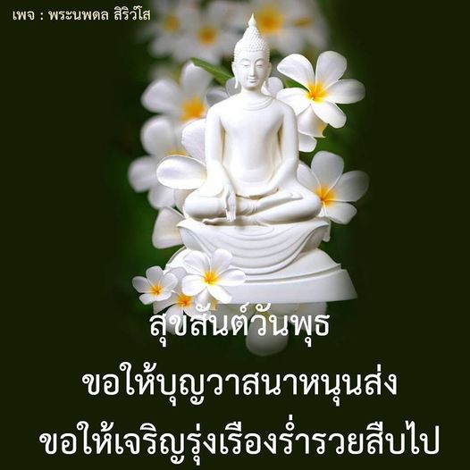 การ์ด No.11728:ภาพสวัสดียามเช้า