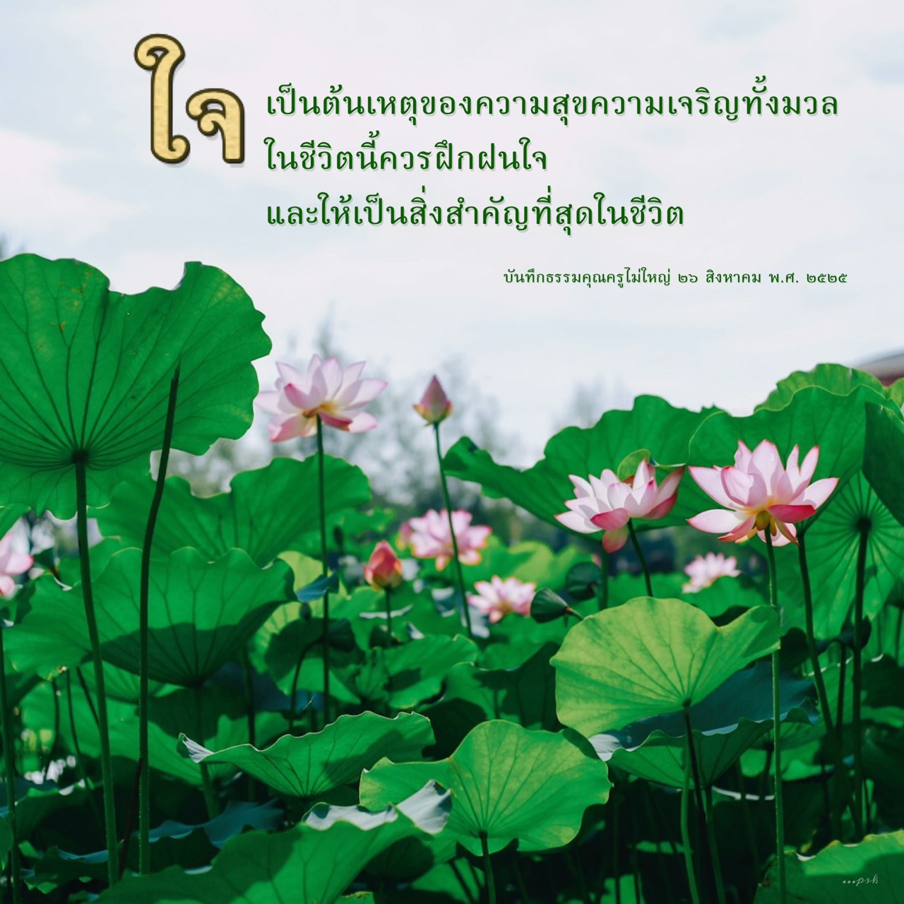 การฝึกฝนใจเพื่อความสุขและความเจริญในชีวิต
