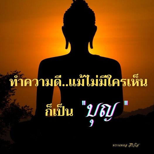 การ์ด No.11249:พระนพดล สิริวํโส