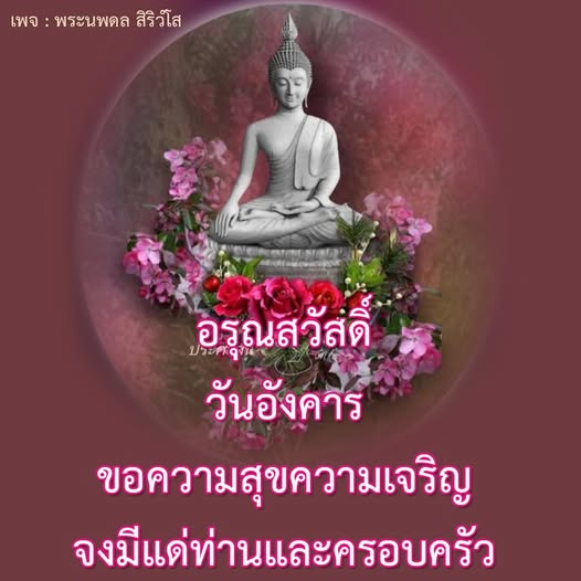 การ์ด No.14232:ภาพสวัสดียามเช้า