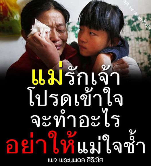 การ์ด No.10884:พระนพดล สิริวํโส