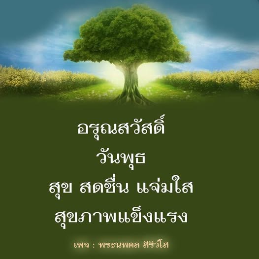 การ์ด No.12073:ภาพสวัสดียามเช้า