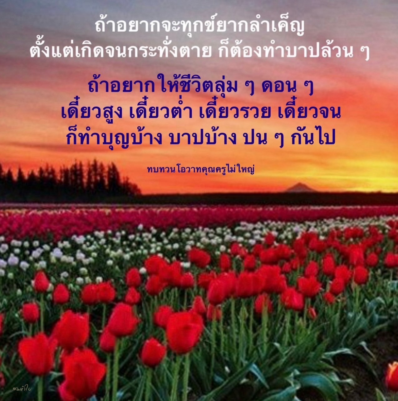 วิธีลดความทุกข์และเพิ่มความสุขในชีวิต