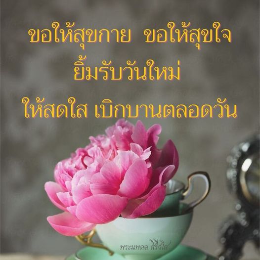 การ์ด No.9182:ภาพสวัสดียามเช้า
