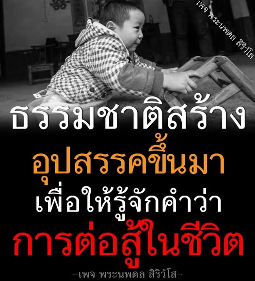 เพจพระนพดล สิริวํโส นำเสนอแนวคิดเกี่ยวกับการต่อสู้ในชีวิตและบทเรียนจากธรรมชาติที่สร้างอุปสรรค เพื่อเสริมสร้างแรงบันดาลใจในการเผชิญหน้ากับความท้าทายในชีวิต