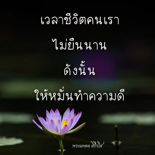 การ์ด No.14446:พระนพดล สิริวํโส