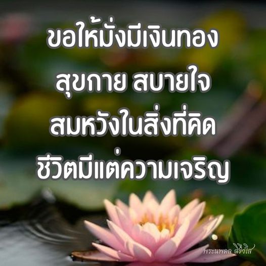 การ์ด No.9587:พระนพดล สิริวํโส