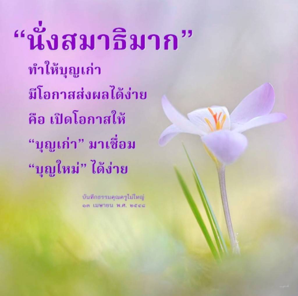 เรียนรู้เกี่ยวกับการนั่งสมาธิที่ช่วยเปิดโอกาสให้บุญเก่าและบุญใหม่เชื่อมโยงกันได้ง่ายขึ้น พร้อมแนวทางในการพัฒนาจิตใจและเสริมสร้างบุญในชีวิตประจำวัน