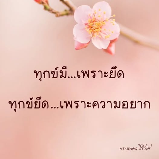 การ์ด No.14506:พระนพดล สิริวํโส