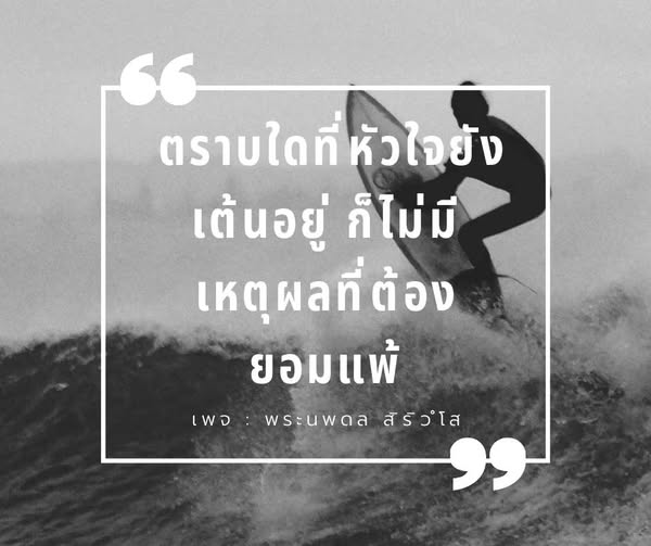 การ์ด No.13987:พระนพดล สิริวํโส