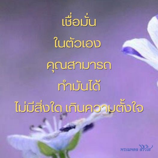การ์ด No.8844:พระนพดล สิริวํโส