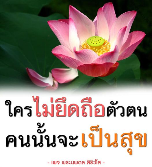การ์ด No.11016:พระนพดล สิริวํโส